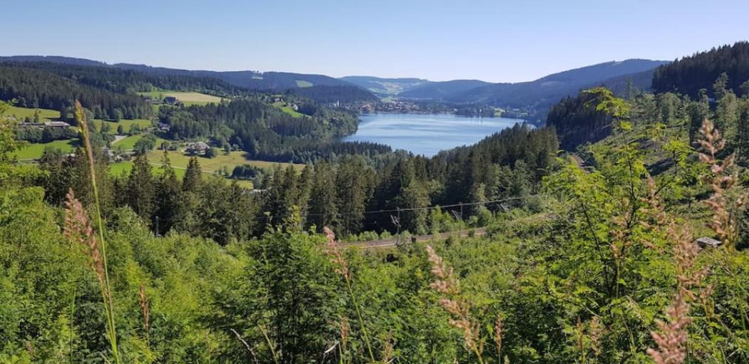 Black Forest Schwarzwaldblick Indoorpool Wifi Natur Komfort ヘーヘンシュヴァント エクステリア 写真